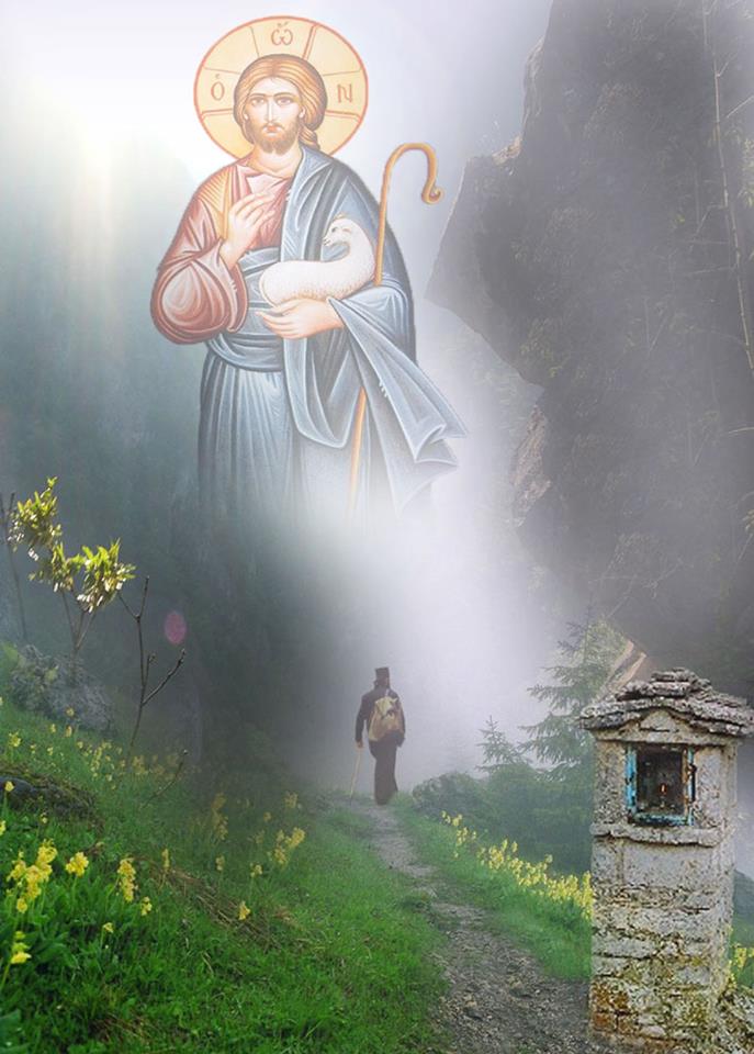 Post Image