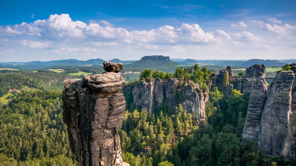 000 Bäume Für Den Naturschutz: Wiederaufforstung Im Nationalpark Sächsische Schweiz Abgeschlossen 000 Bäume Für Den Naturschutz: Wiederaufforstung Im Nationalpark Sächsische Schweiz Abgeschlossen