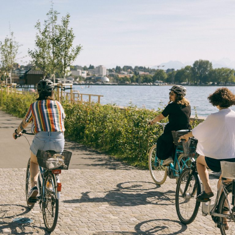 000 Jahre Bodensee: Was Bedeutet Das Für Den Klimaschutz? 000 Jahre Bodensee: Was Bedeutet Das Für Den Klimaschutz?