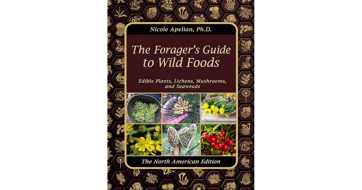 A Forager's Guide: Identifying And Roasting The Carrot's Wild Cousin A Forager's Guide: Identifying And Roasting The Carrot's Wild Cousin