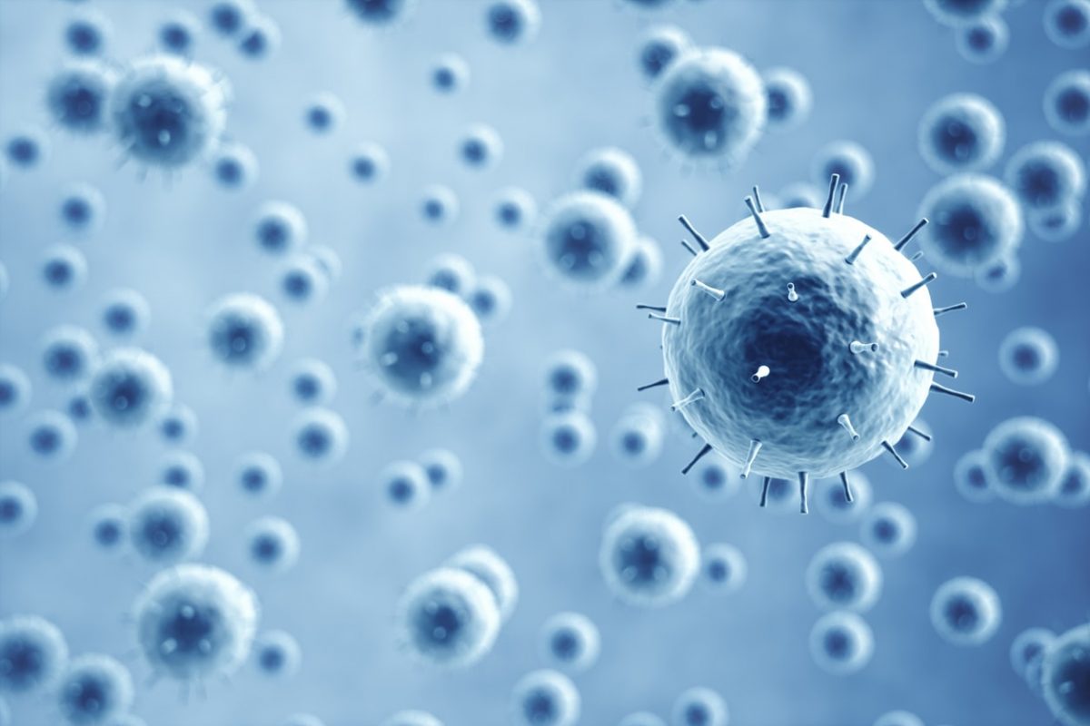 A Fungi Threat: Rising Temperatures And Internal Infections A Fungi Threat: Rising Temperatures And Internal Infections