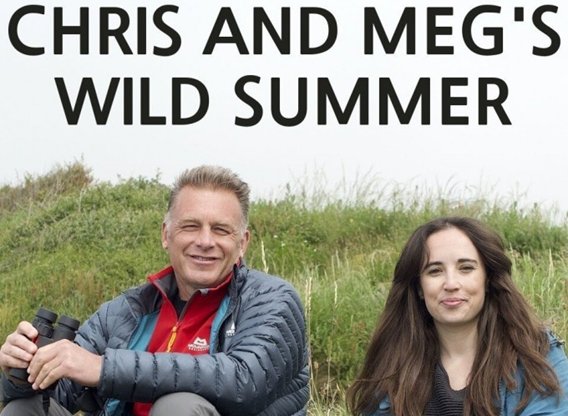 A Wild Summer For Chris And Meg A Wild Summer For Chris And Meg