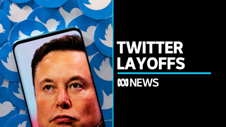 ABC News Shows Face Cancellation Amid Company Restructuring ABC News Shows Face Cancellation Amid Company Restructuring