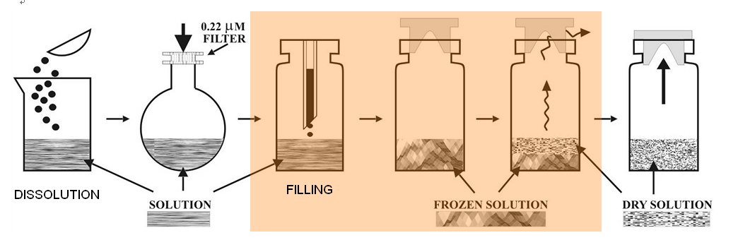 Addressing Challenges In Automated Visual Inspection Of Lyophilized Vials Addressing Challenges In Automated Visual Inspection Of Lyophilized Vials