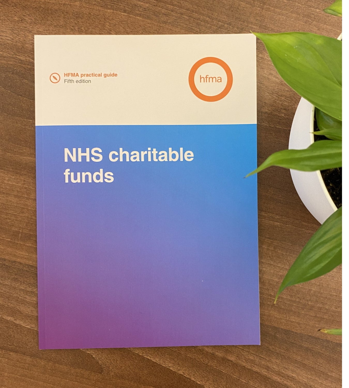 Addressing The Issue Of Lack Of Funds: A Practical Guide Addressing The Issue Of Lack Of Funds: A Practical Guide
