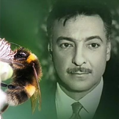 الاستقلال: مسيرة نضال وتاريخ مجد الاستقلال: مسيرة نضال وتاريخ مجد