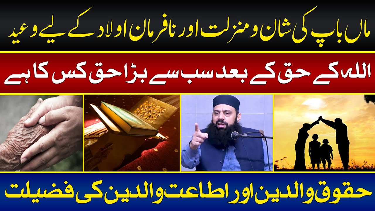 الکا یاگنک: اسامہ بن لادن کی تعریف اور ان کے مداحین کی فہرست الکا یاگنک: اسامہ بن لادن کی تعریف اور ان کے مداحین کی فہرست