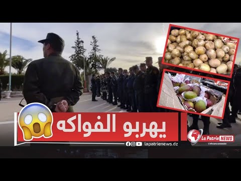 ألمانيا: الشرطة تضبط مشجعين خلال مداهمات ألمانيا: الشرطة تضبط مشجعين خلال مداهمات