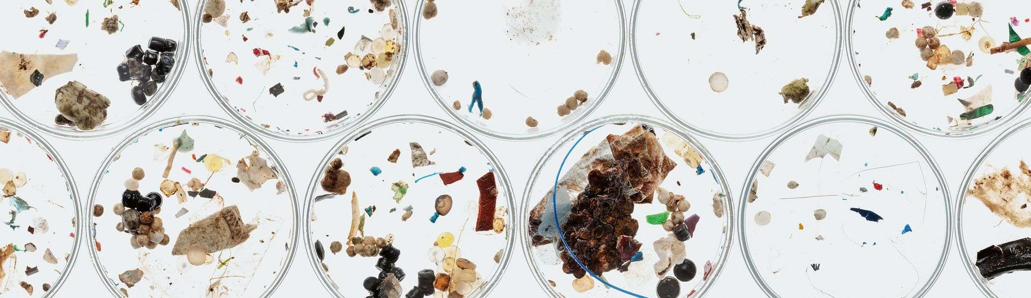 Analisi Della Presenza Di Microplastiche Nelle Diverse Acque Analisi Della Presenza Di Microplastiche Nelle Diverse Acque