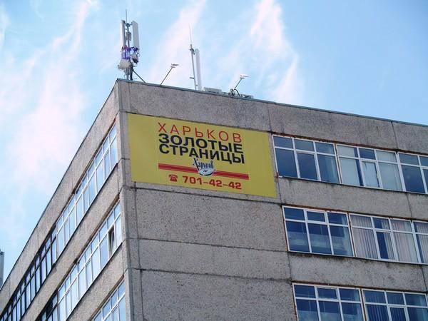 Анализ Свадебной Статистики Харьковской Области: 600+ Браков За Месяц Анализ Свадебной Статистики Харьковской Области: 600+ Браков За Месяц