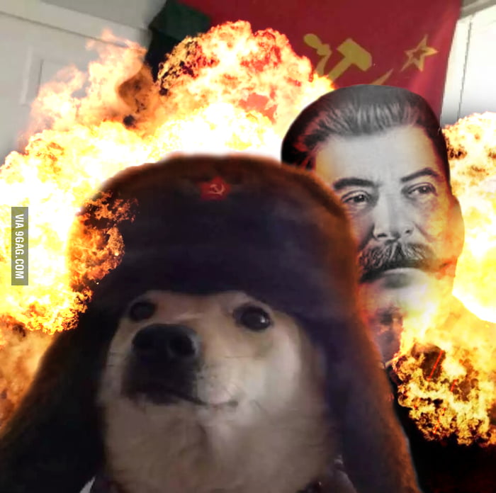 Analyzing Russ Vought's Influence On Dogecoin's Trajectory Analyzing Russ Vought's Influence On Dogecoin's Trajectory
