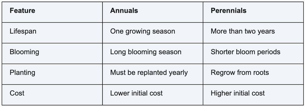 Annuals Or Perennials? A Guide To Choosing The Perfect Flowers Annuals Or Perennials? A Guide To Choosing The Perfect Flowers