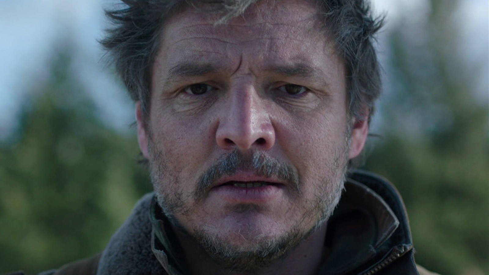 Another Internet Win For Pedro Pascal: His Captivating Fantasy Character Another Internet Win For Pedro Pascal: His Captivating Fantasy Character