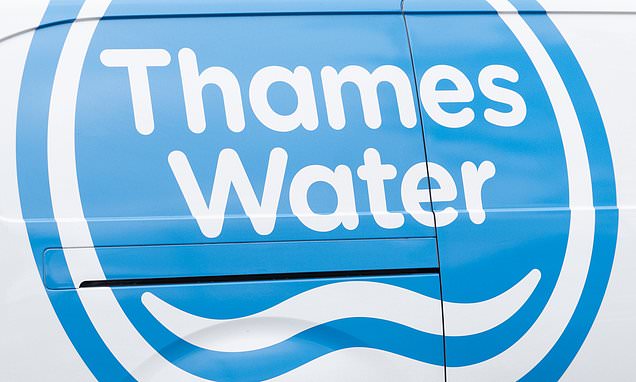 Are Thames Water Executive Bonuses Excessive? A Critical Analysis Are Thames Water Executive Bonuses Excessive? A Critical Analysis