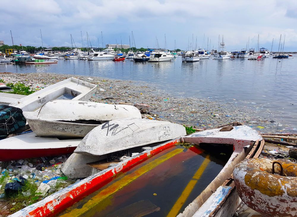 Assessing The Long-Term Health Of Manila Bay Assessing The Long-Term Health Of Manila Bay