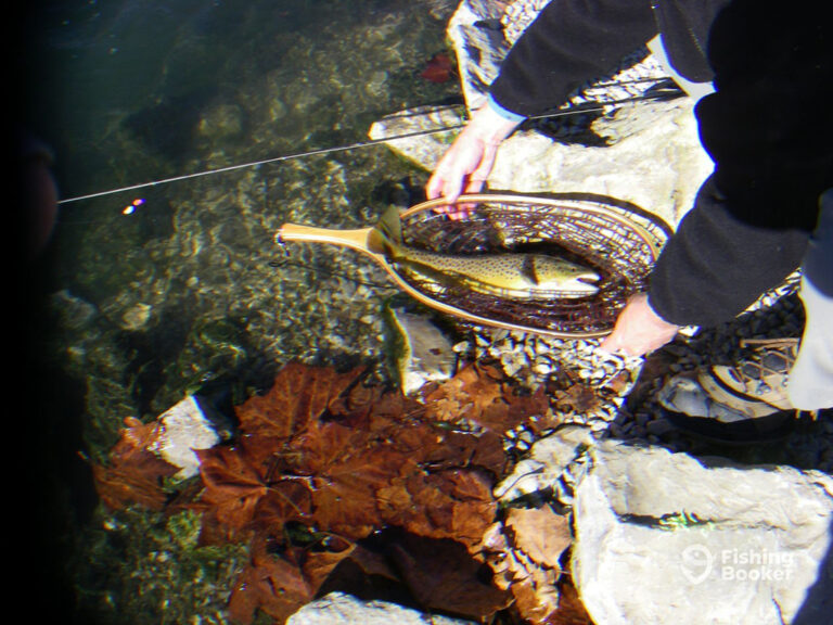 Become A Wyoming Guided Fishing Advisory Board Volunteer Become A Wyoming Guided Fishing Advisory Board Volunteer