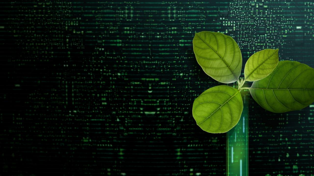 Bitcoin Madenciliğinin Geleceği: Sonlandırma Noktası Mı? Bitcoin Madenciliğinin Geleceği: Sonlandırma Noktası Mı?