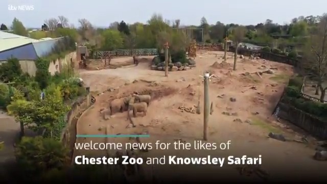 Boris Johnson And Animals: A Collection Of Uncomfortable Moments Boris Johnson And Animals: A Collection Of Uncomfortable Moments