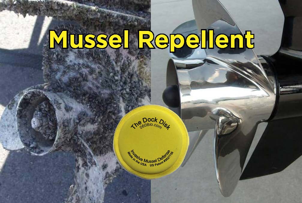Casper Resident's Shocking Boat Lift Discovery: Thousands Of Zebra Mussels Casper Resident's Shocking Boat Lift Discovery: Thousands Of Zebra Mussels
