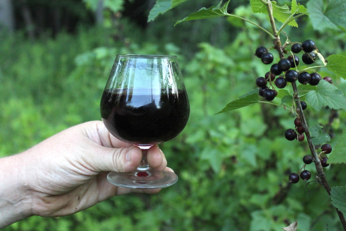 Cassis Blackcurrant Liqueur: Production, Taste Profile, And Cocktail Applications Cassis Blackcurrant Liqueur: Production, Taste Profile, And Cocktail Applications