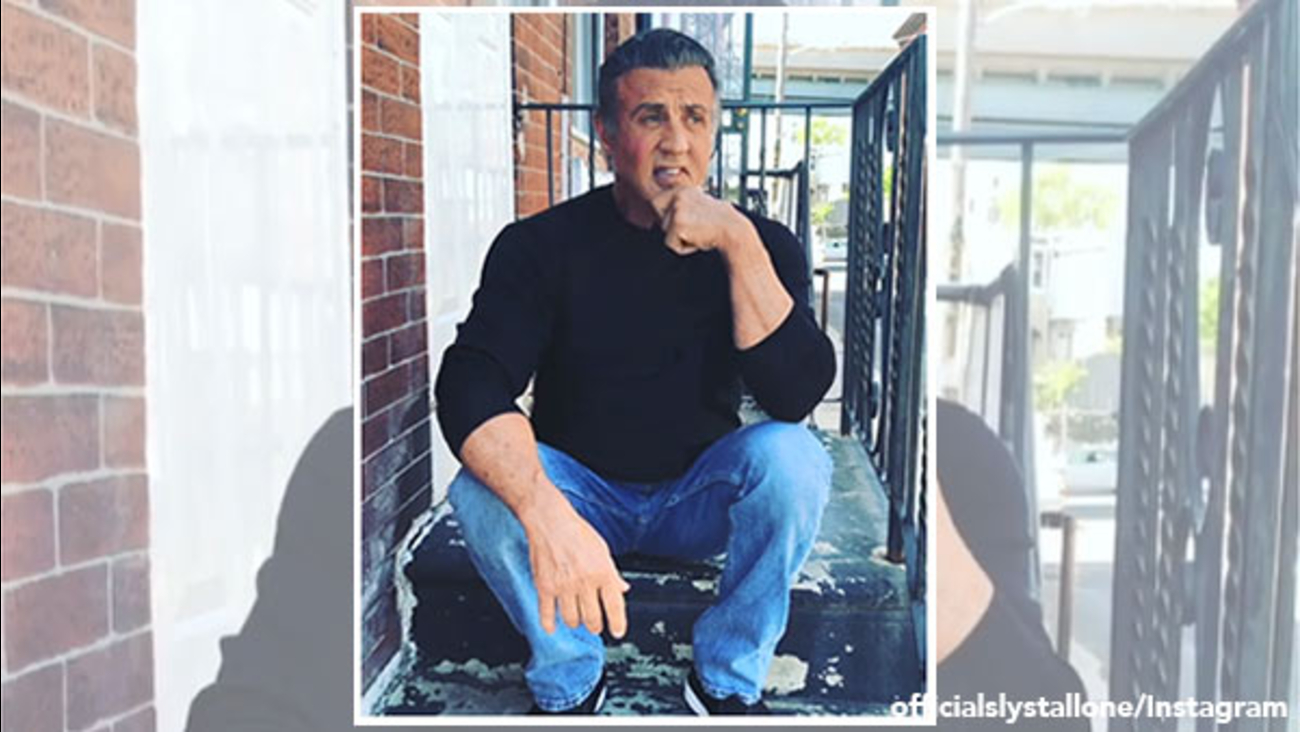 Cât A Încasat Sylvester Stallone Din Franciza Rocky? Cât A Încasat Sylvester Stallone Din Franciza Rocky?