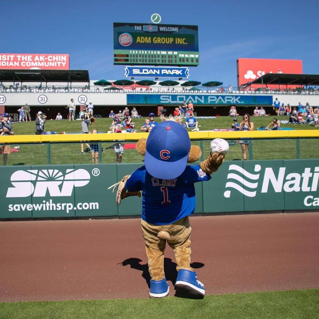 Chicago Cubs' Poteet Conquers Spring Training ABS Challenge Chicago Cubs' Poteet Conquers Spring Training ABS Challenge