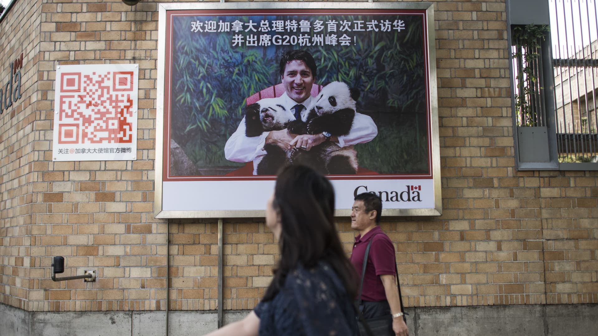 China Seeks New Canola Sources Following Canada Trade Dispute China Seeks New Canola Sources Following Canada Trade Dispute