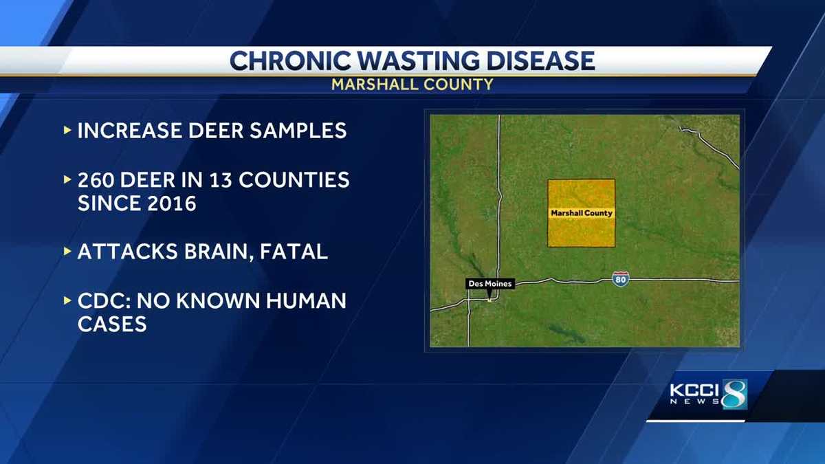 Chronic Wasting Disease Outbreak At Jackson Hole Elk Feedground Chronic Wasting Disease Outbreak At Jackson Hole Elk Feedground