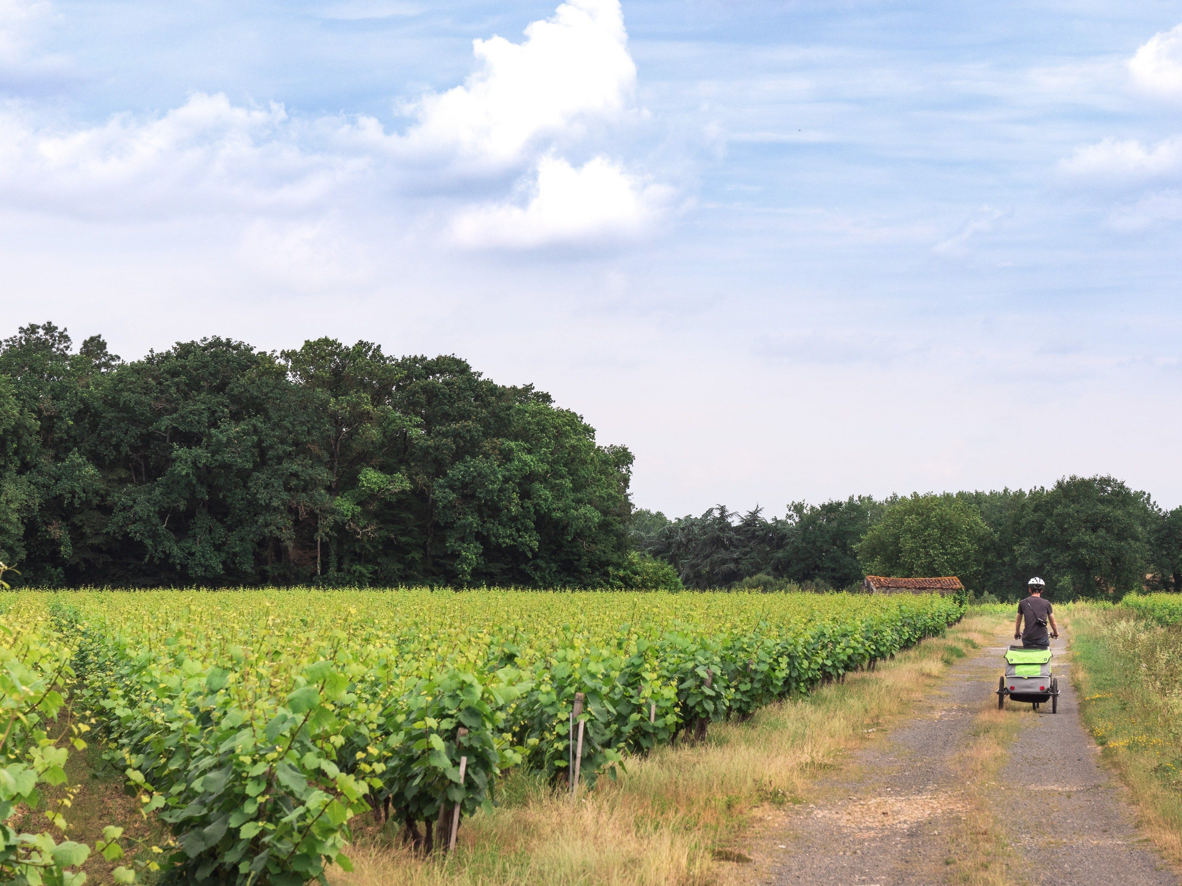 Cinq Itinéraires Vélo Pour Découvrir La Loire, Le Vignoble Nantais Et L'Estuaire Cinq Itinéraires Vélo Pour Découvrir La Loire, Le Vignoble Nantais Et L'Estuaire