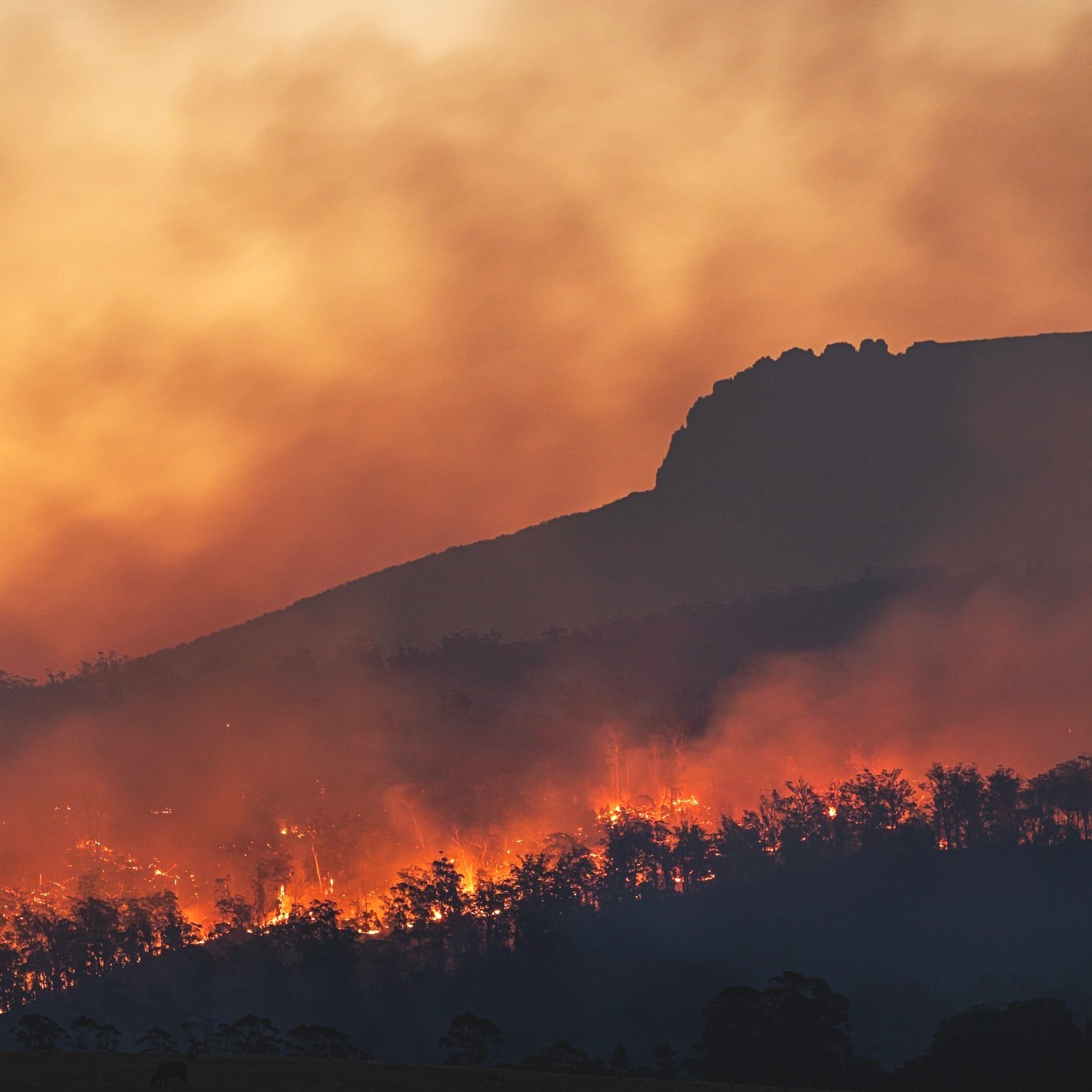 Climate Change And Your Mortgage: Understanding The Risks Climate Change And Your Mortgage: Understanding The Risks