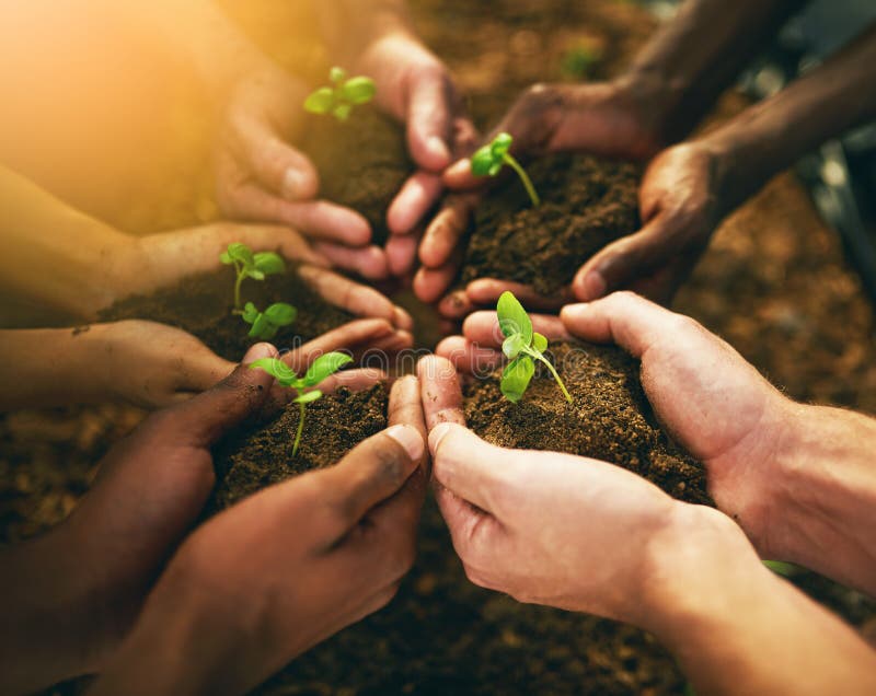 Collaboration And Growth: Bangladesh's Strategy For The European Market Collaboration And Growth: Bangladesh's Strategy For The European Market