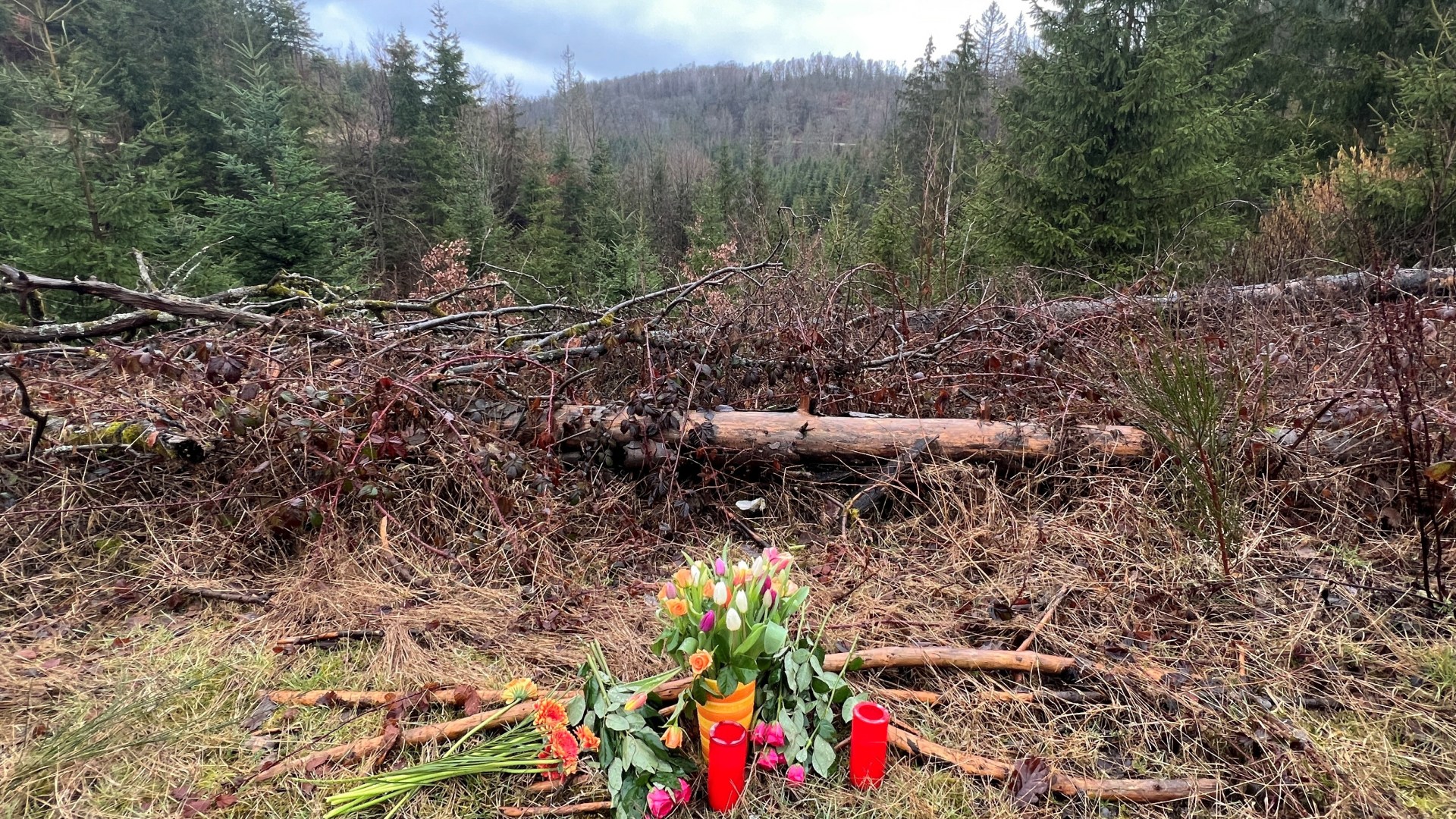 Community Mourns 15-Year-Old Stabbed At School Community Mourns 15-Year-Old Stabbed At School