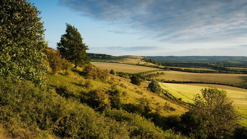 Country Escapes: A Comprehensive Guide To Rural Living Country Escapes: A Comprehensive Guide To Rural Living