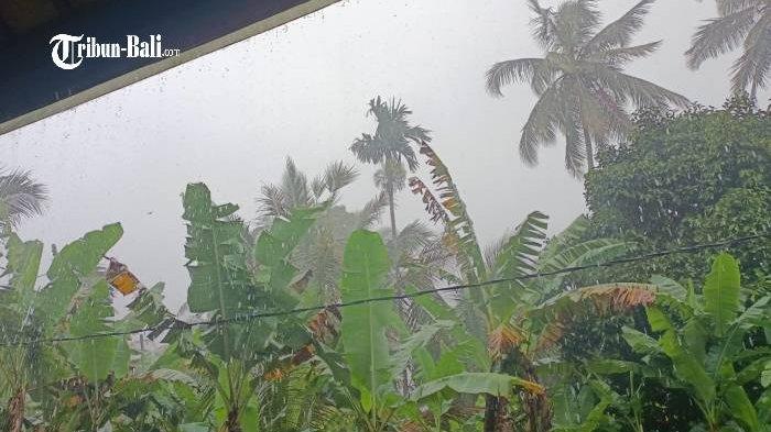Cuaca Bali Besok: Denpasar Diprediksi Hujan Cuaca Bali Besok: Denpasar Diprediksi Hujan