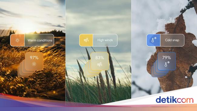 Cuaca Bali Besok: Dominan Berawan, Potensi Hujan Ringan Terbatas Cuaca Bali Besok: Dominan Berawan, Potensi Hujan Ringan Terbatas