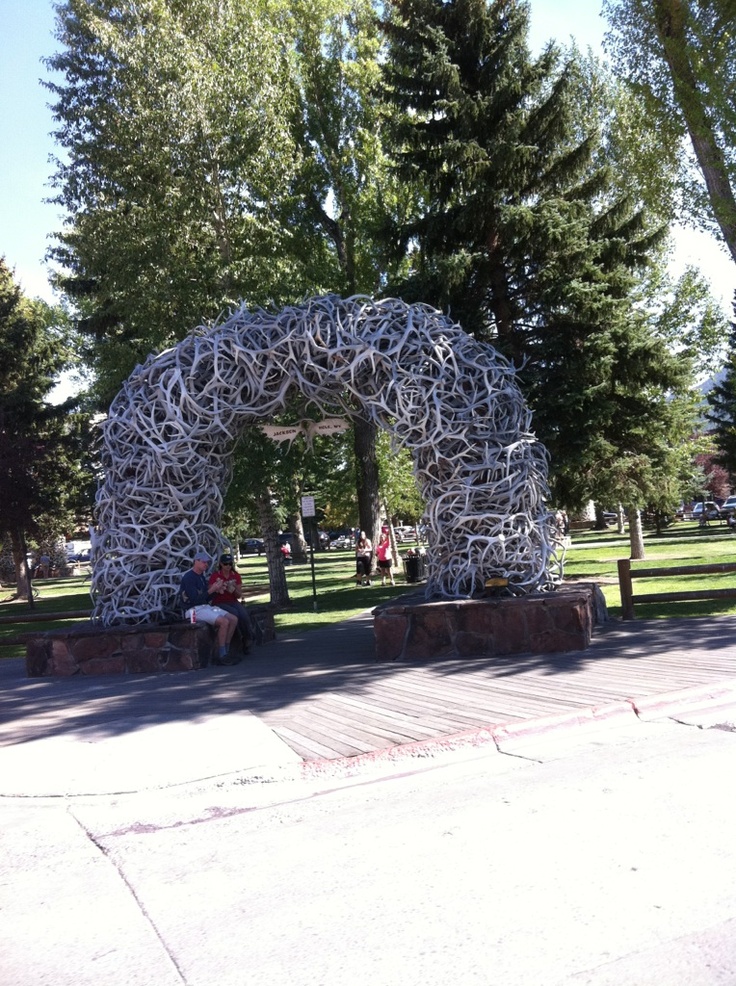 CWD Found In Jackson Hole Elk: Implications For Wildlife Management CWD Found In Jackson Hole Elk: Implications For Wildlife Management