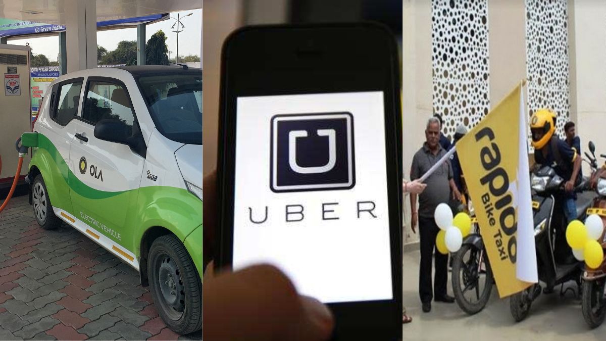 Delhi And Mumbai Get Uber Pet Services: Convenient Pet Travel Delhi And Mumbai Get Uber Pet Services: Convenient Pet Travel