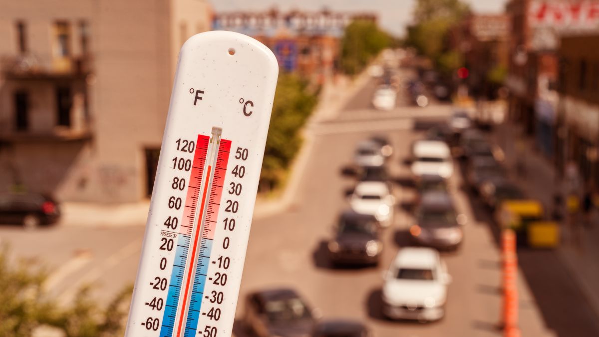 Delhi Heatwave: Government Issues Advisory, Warns Of Heatstroke Risks Delhi Heatwave: Government Issues Advisory, Warns Of Heatstroke Risks