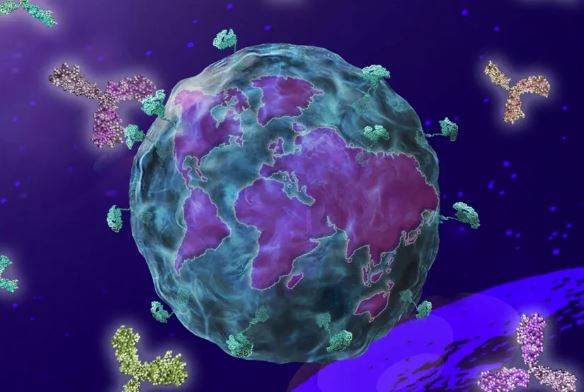 Dren Bio's Bispecific Engager: Sanofi's Strategic Move In Myeloid Cell Therapy Dren Bio's Bispecific Engager: Sanofi's Strategic Move In Myeloid Cell Therapy