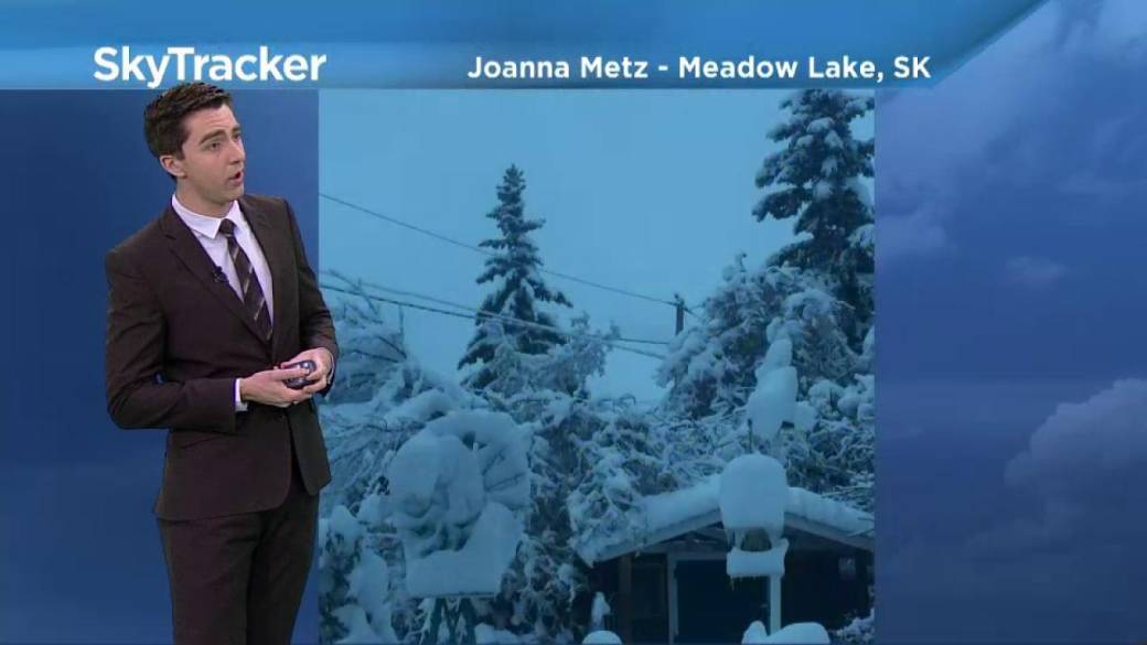 Drier Weather Ahead: Tips For Managing Your Landscape Drier Weather Ahead: Tips For Managing Your Landscape