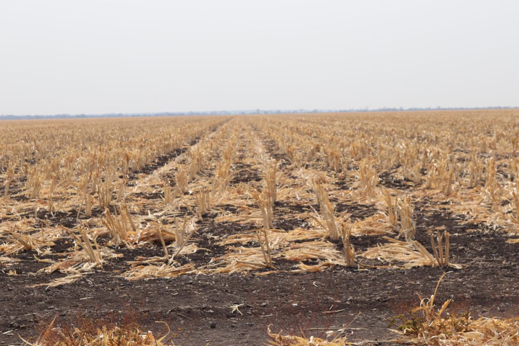 Drought Concerns Rise: Spring 2024 Mirrors 1968's Conditions Drought Concerns Rise: Spring 2024 Mirrors 1968's Conditions