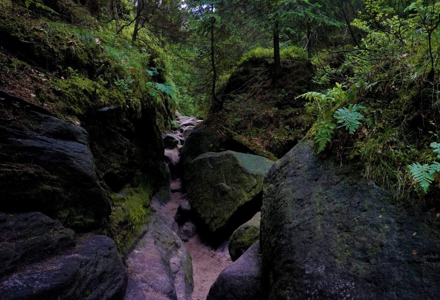 Effektivere Waldbrandbekämpfung: Sachsenforst Testet Innovative Sensoren In Der Sächsischen Schweiz Effektivere Waldbrandbekämpfung: Sachsenforst Testet Innovative Sensoren In Der Sächsischen Schweiz