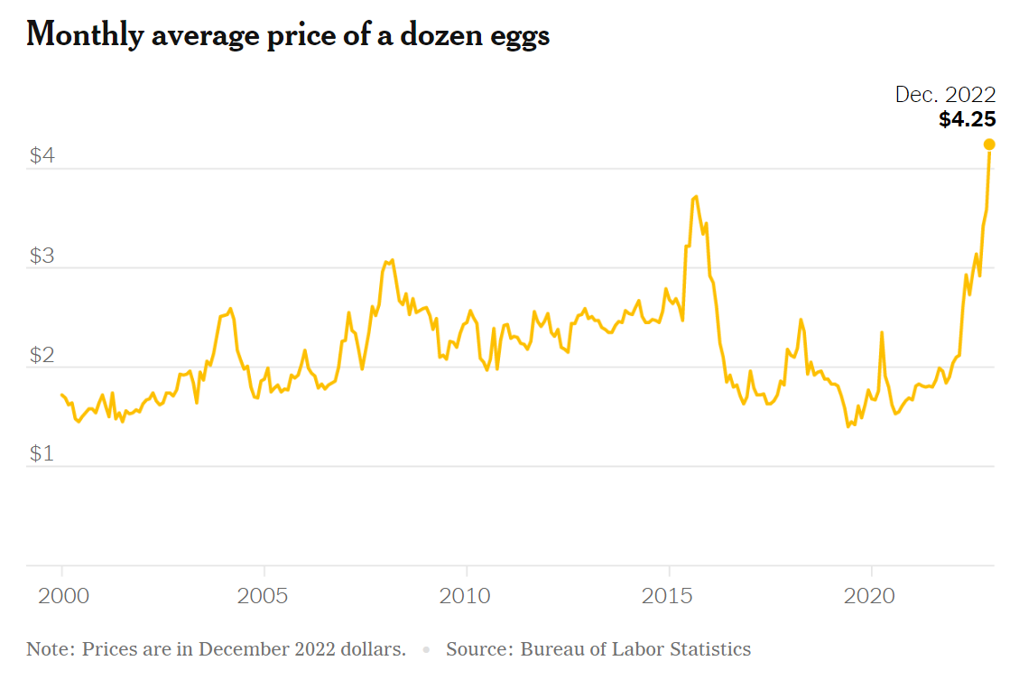 Egg Prices Plummet: Dozen Now $5 After Record Highs Egg Prices Plummet: Dozen Now $5 After Record Highs
