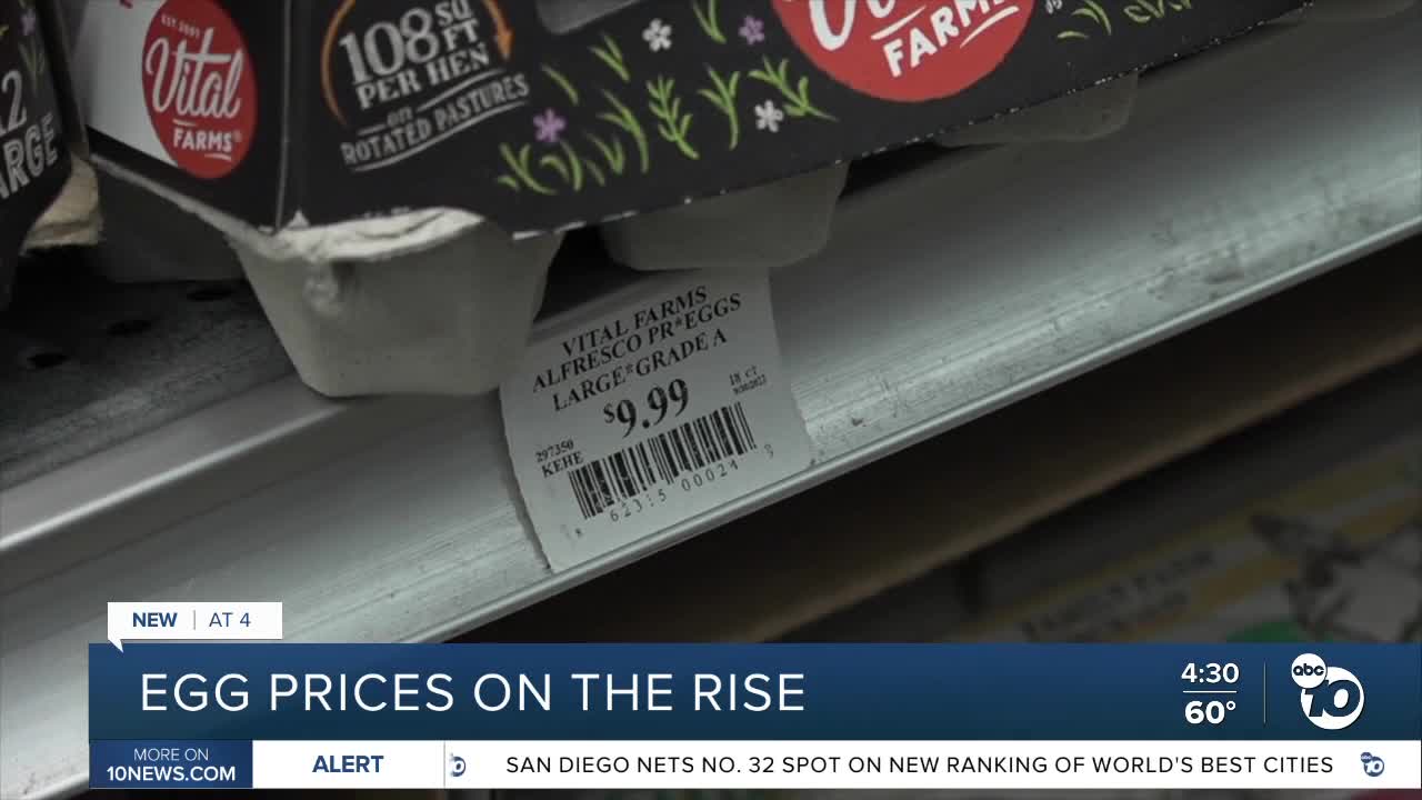 Egg Prices Soar: Is This What Trump Predicted? Egg Prices Soar: Is This What Trump Predicted?
