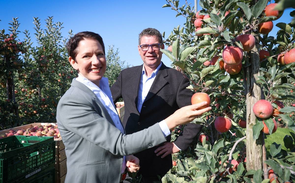 Eissorten-Ranking NRW: Diese Sorte Liegt Vorne Eissorten-Ranking NRW: Diese Sorte Liegt Vorne
