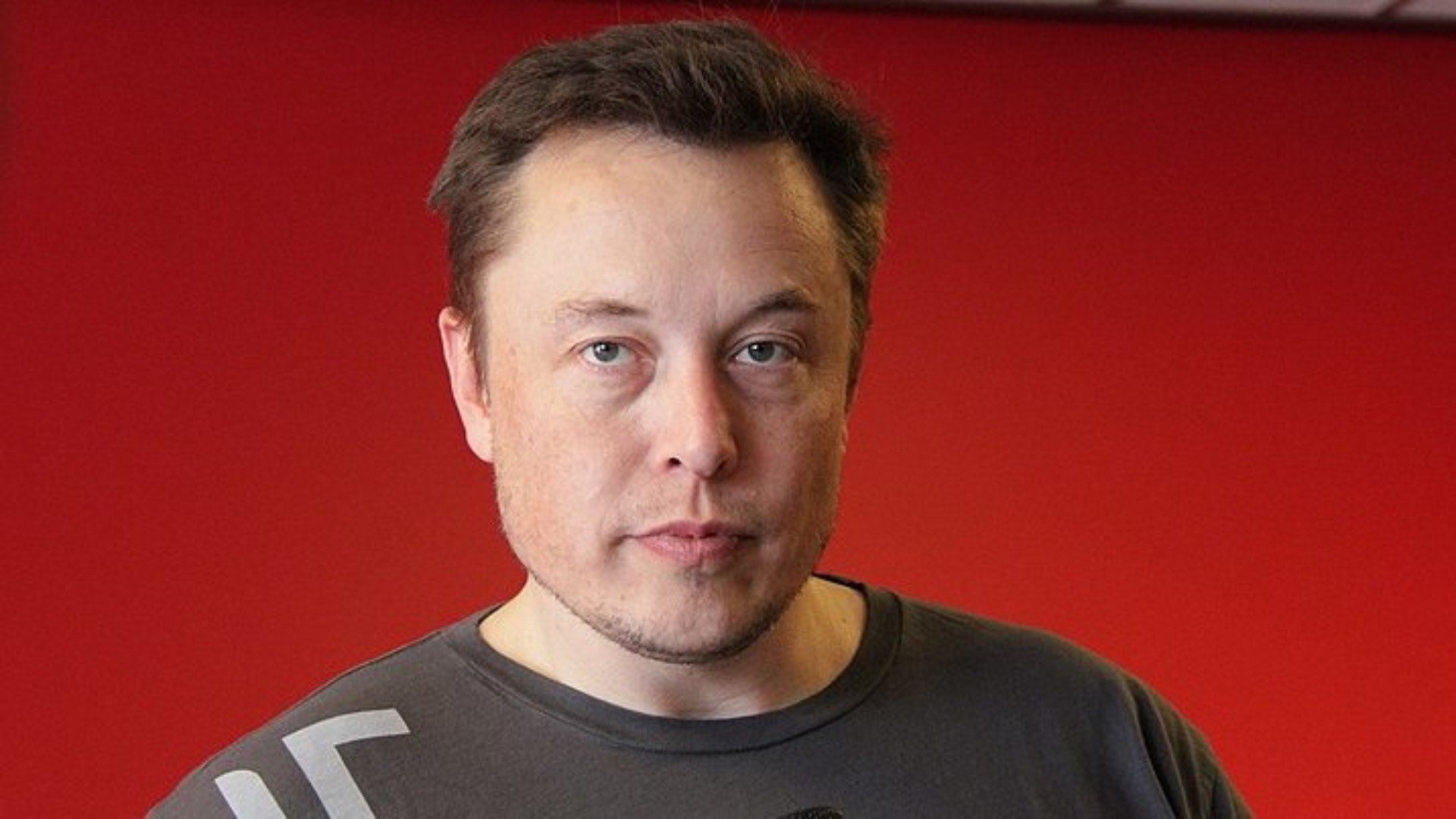 Elon Musk's Dogecoin Exit: Fact Or Fiction? Elon Musk's Dogecoin Exit: Fact Or Fiction?