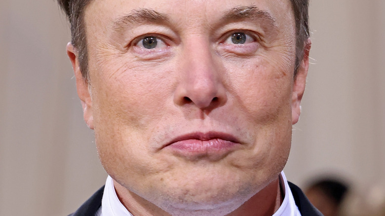 Elon Musk's Potential Paternity Of Amber Heard's Twins: A Timeline Of Events Elon Musk's Potential Paternity Of Amber Heard's Twins: A Timeline Of Events