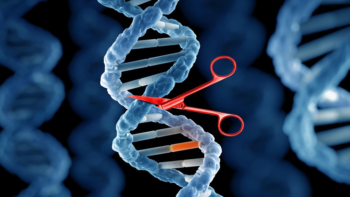 Enhanced Gene Editing: The Impact Of A New CRISPR Modification Enhanced Gene Editing: The Impact Of A New CRISPR Modification