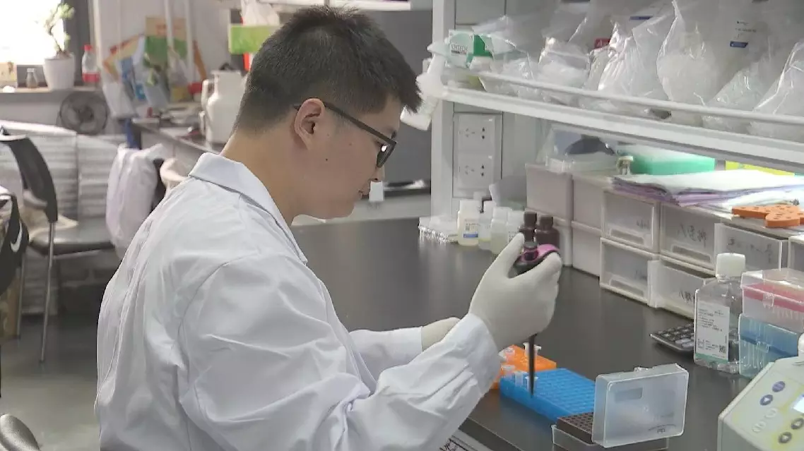 Enhanced Precision In Gene Editing: Inserting Complete Genes Enhanced Precision In Gene Editing: Inserting Complete Genes