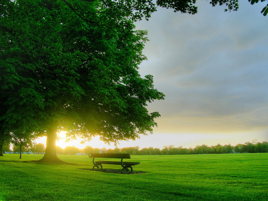 Escape To The Country: A Relaxing Break From City Life Escape To The Country: A Relaxing Break From City Life